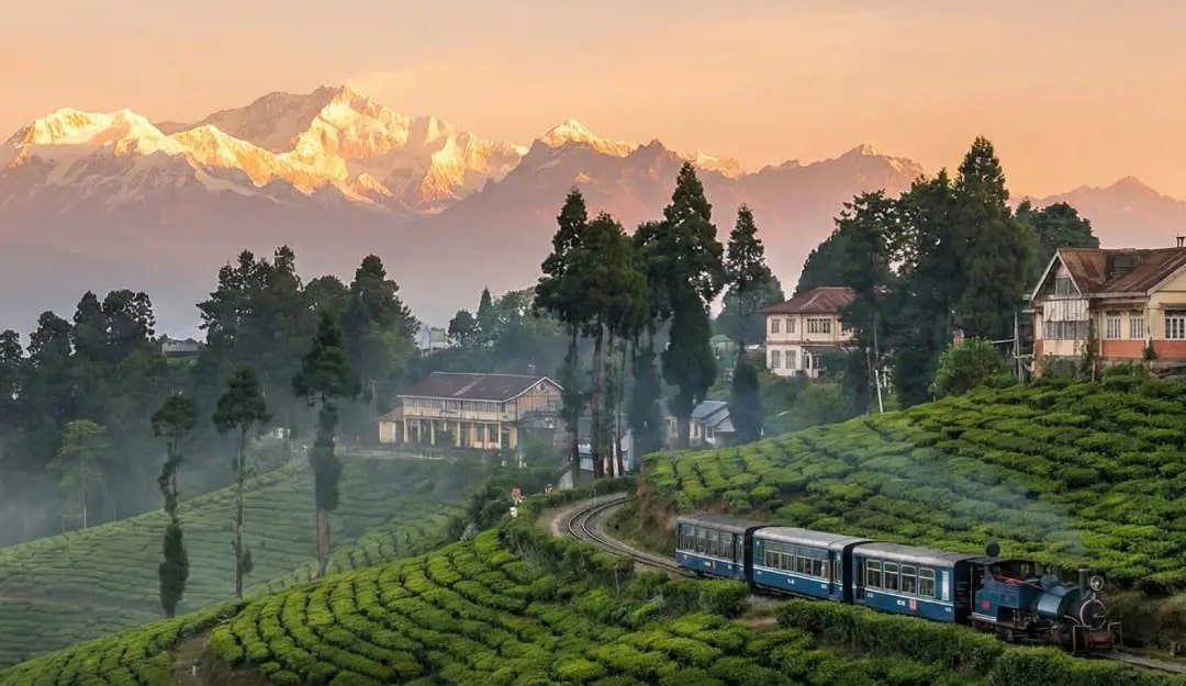 darjeeling tour package	Informational	18100	24	1 month